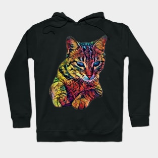 Colorful Cute Cat Hoodie